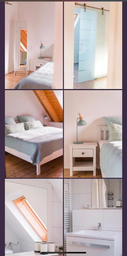 Gruene Pause Apartment Фрайнсхайм Екстериор снимка